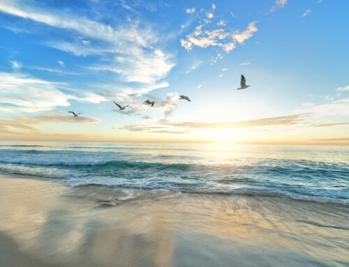 Accountable for God’s Gifts